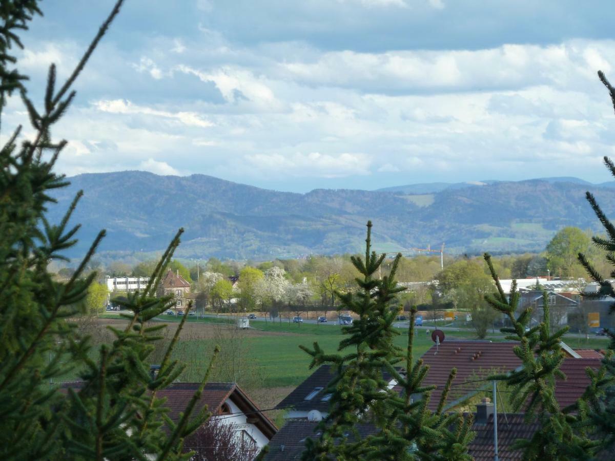 Helle 70 Qm Ferienwohnung Mit Herrlichem Blick Teningen Екстер'єр фото